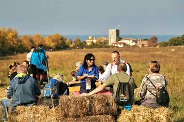Istra je ujesen čudesna, a pogotovo posjetiš li i vinsku cestu