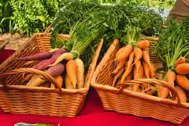 Važni nutrijenti - 5 namirnica za bolji razvoj dječjeg vida