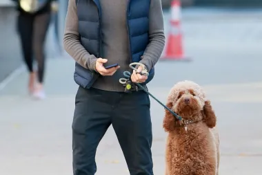 Ryan Reynolds