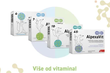 Adventski kalendar 13.12.- Alpexavit- obiteljski paket