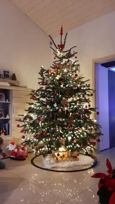 Ovaj prekrasan bor naše čitateljice Suzane odnio je titulu najljepšeg