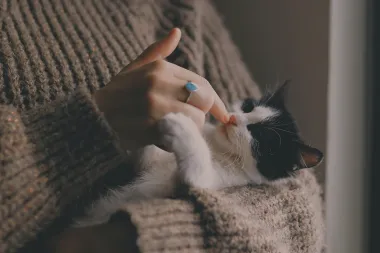 Bež za svaku priliku - savršeni komadi već od 35 kuna