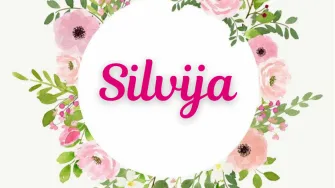Silvije su šećer za kraj godine, a mi im želimo sretan imendan!