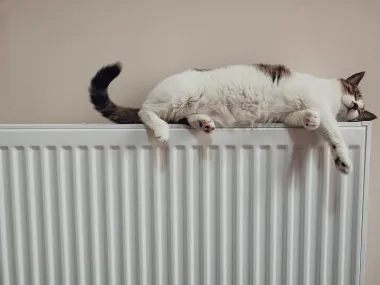 Moguće je! Evo kako potrošiti kalorije bez odlaska u teretanu