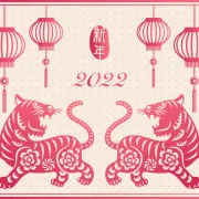 Kineski horoskop za 2022. godinu - što ti donosi godina Tigra?