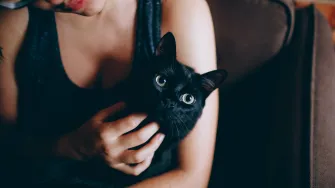 Imaš mačku? Evo zašto je to jako dobro za tvoje zdravlje
