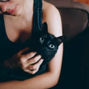 Imaš mačku? Evo zašto je to jako dobro za tvoje zdravlje