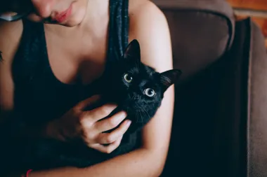 Imaš mačku? Evo zašto je to jako dobro za tvoje zdravlje