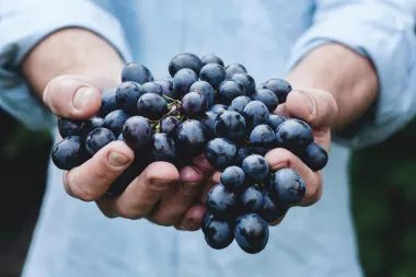 5 vrsta voća koje bi trebala izbjegavati ako želiš smršavjeti