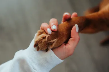 Studija potvrdila: Ljudi koji imaju pse žive dulje, evo i zašto