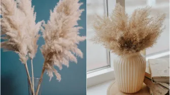 Ideje kako ukrasiti dom omiljenom dekoracijom -  pampas travom