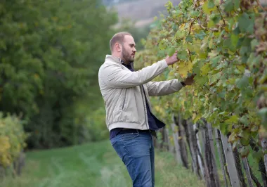 #podrzidomace: Umjesto da rade u građevini koju su završili, braća Ognjen i Ozren stvaraju vrhunska vina