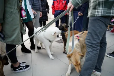 Brojni poznati pogledali hit film PAS na “Dog weekendu” u CineStar kinima!