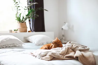 11 važnih savjeta koji ti mogu olakšati sezonske alergije