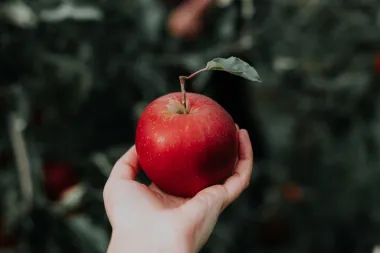 11 važnih savjeta koji ti mogu olakšati sezonske alergije