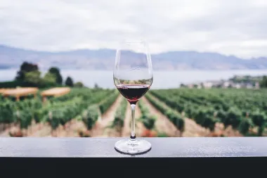 Cesta u obliku srca vodi do prekrasne vinarije u Sloveniji. Evo zašto je posjetiti