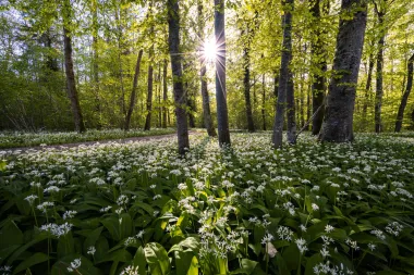 Vježbanje (ni)je je teško: 5 super ideja za sve koji ne vole teretanu