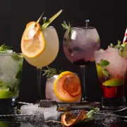 Svaki horoskopski znak ima svoj savršeni gin tonik - koji je tvoj?