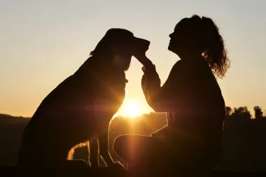 Pas te stalno prati pogledom? 6 stvari koje ti možda pokušava reći