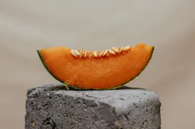 Još samo nekoliko dana do 8. Međunarodnog kongresa nutricionista
