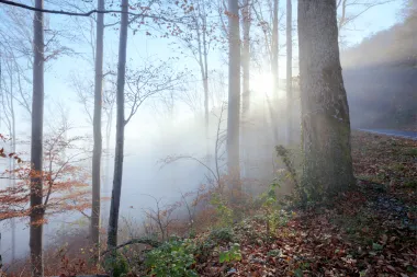 HIGHLANDER Medvednica – planinarsko događanje u listopadu stiže u metropolu