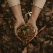 Biljke ti rastu kao od šale? Sigurno si jedan od ova dva horoskopska znaka