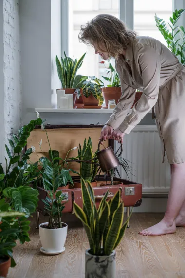 Biljke ti rastu kao od šale? Sigurno si jedan od ova dva horoskopska znaka