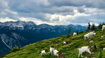 Ideje za vikend putovanje: Ovo su neke od najljepših pješačkih staza u Sloveniji
