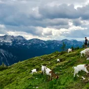 Ideje za vikend putovanje: Ovo su neke od najljepših pješačkih staza u Sloveniji