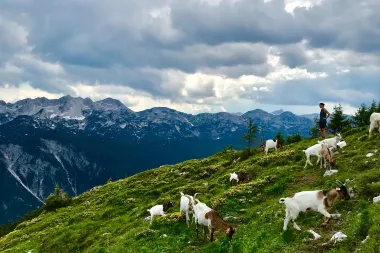 Ideje za vikend putovanje: Ovo su neke od najljepših pješačkih staza u Sloveniji