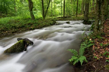 Slavonski biser: Park prirode Papuk savršena je ideja za vikend putovanje