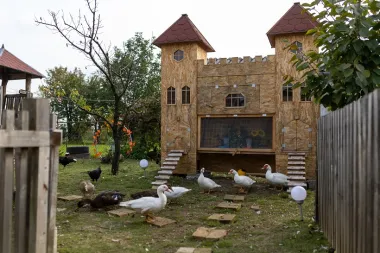 U Baranji se tri godine gradio Kokingrad! Evo kako izgleda ovo posebno mjesto