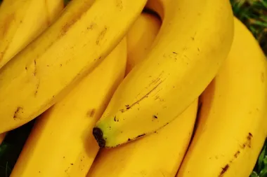 Kako posaditi bananu iz ploda?