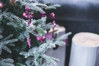 Kakvi će trendovi dominirati u ukrašavanju doma ovih blagdana?