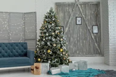 Kako okititi bor ovih blagdana? Pronašle smo čarobne ideje za inspiraciju