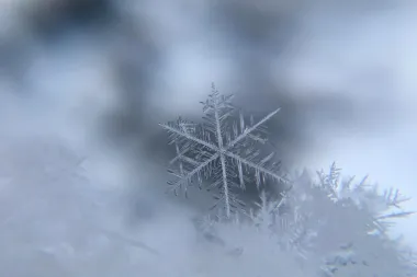 Dnevni horoskop: Djevice čeka ljubavna ekstaza, a Škorpioni će ugodno iznenaditi svojim kuhanjem