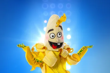 Ekskluzivno: Ovo je prvih 6 raskošnih maski megaspektakla 'Masked Singer', a gledatelji će za svoje favorite moći glasati i osvojiti fantastične nagrade!