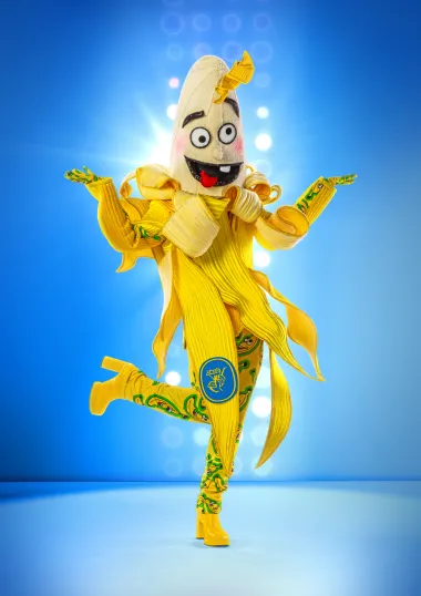 Ekskluzivno: Ovo je prvih 6 raskošnih maski megaspektakla 'Masked Singer', a gledatelji će za svoje favorite moći glasati i osvojiti fantastične nagrade!