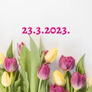 23.3.2023. krije moćno značenje - evo što donosi svakom horoskopskom znaku