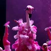 Flamingica kao Ariana Grande
