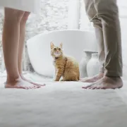 Zbog ovih razloga ljudi se danas najčešće razvode (ne, nije prevara)
