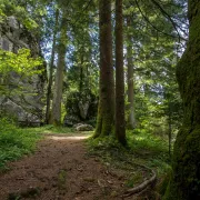 Park šuma Golubinjak: Ljepotica Gorskog kotara kao stvorena za vikend izlet