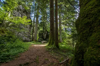 Park šuma Golubinjak: Ljepotica Gorskog kotara kao stvorena za vikend izlet