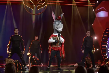Tovar, Medo ili Čudnovište? Sutra je na redu spektakularno finale jedinstvenog showa 'Masked Singer'