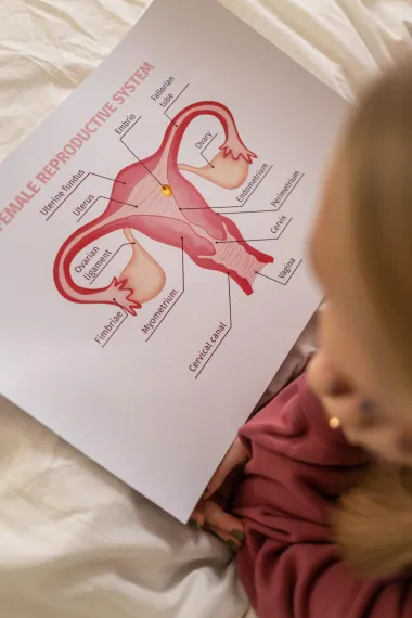 Neizbježne promjene: Kako se vagina mijenja u dobi od 20, 30, 40 i 50 godina