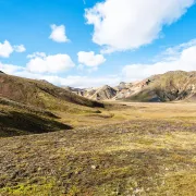4 horoskopska znaka koja bi preživjela na pustom otoku (i 1 koji bi se raspao)