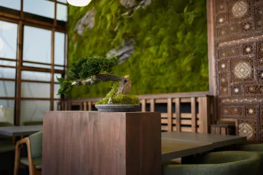 Novouređeni interijer Evergreen - sushi experience restorana spoj je japanske tradicije i suvremenog dizajna