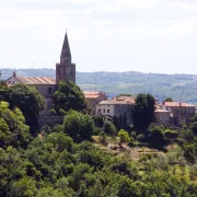 Gdje jesti i što probati u Istri? Imamo nekoliko zanimljivih prijedloga