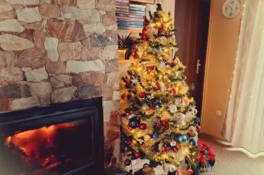 Pogledajte okićena božićna drvca naših čitateljica i pronađite inspiraciju