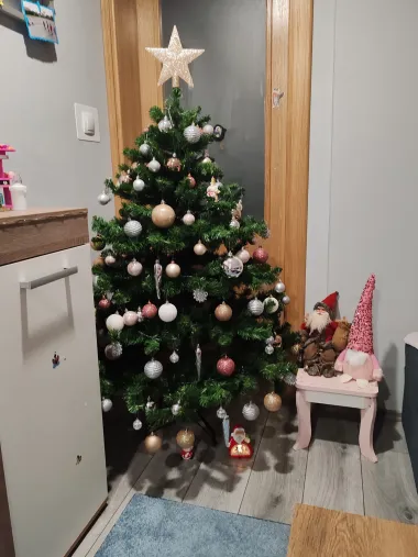 Pogledajte okićena božićna drvca naših čitateljica i pronađite inspiraciju